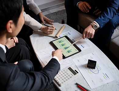 CFO-Services